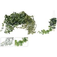 Műnövény 317221070 - zöld, műanyag (56cm)