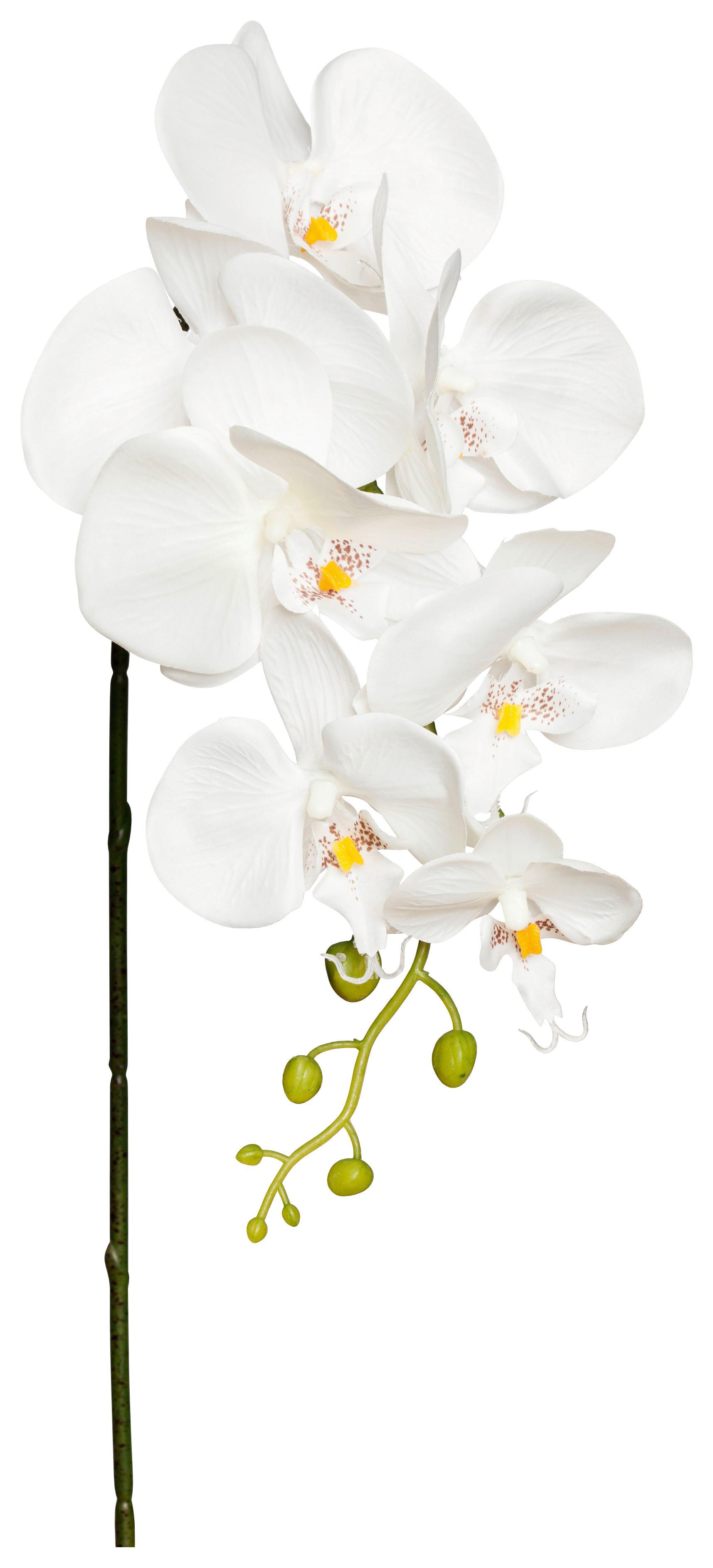 Kunstpflanze Orchidee Weiß L: 86 cm, Ria - Weiß/Grün, KONVENTIONELL, Kunststoff/Metall (86cm)