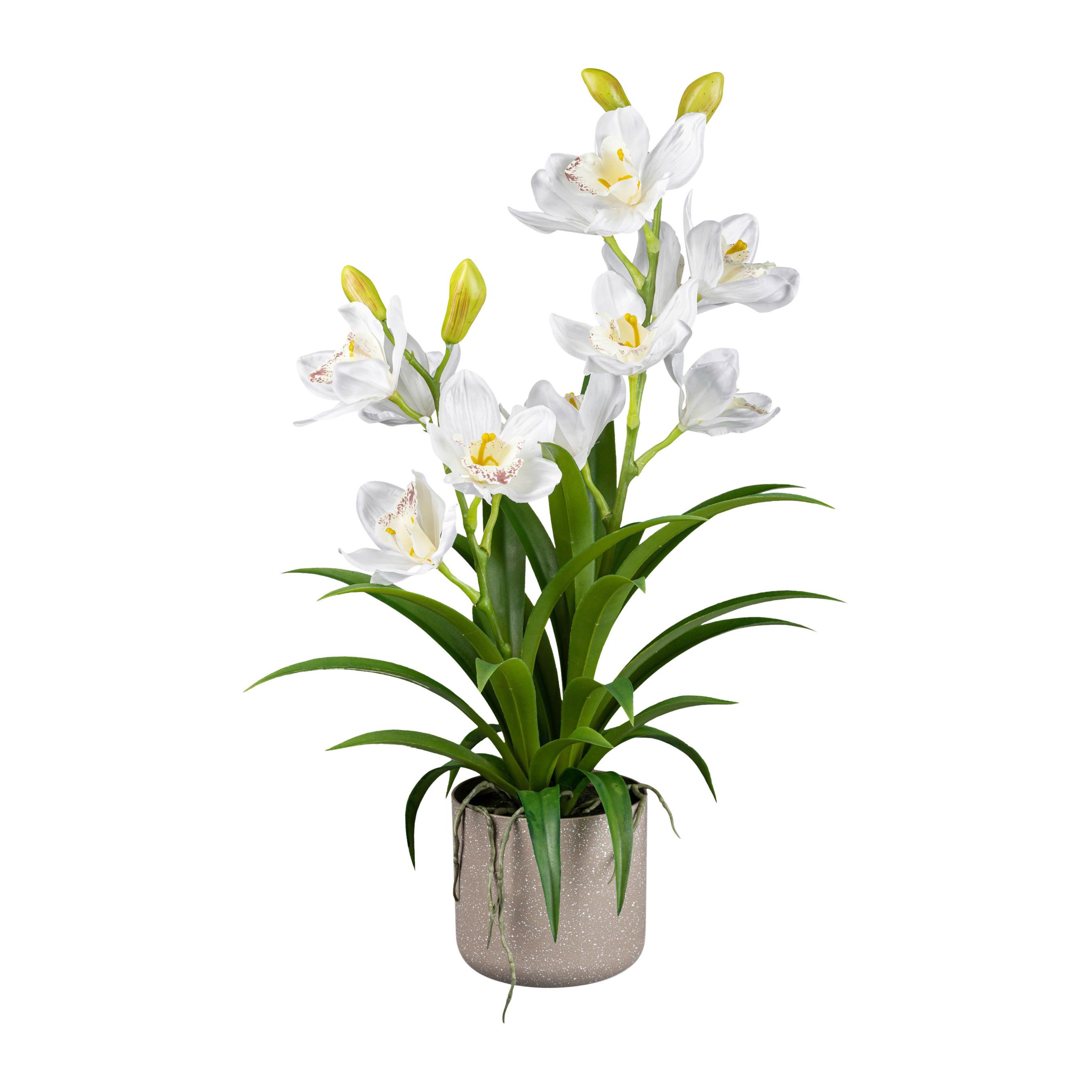 Kunstpflanze Orchideen Weiß, Topf: Grau, H: 58 cm - Weiß/Grau, Design, Kunststoff (58cm) - P & B