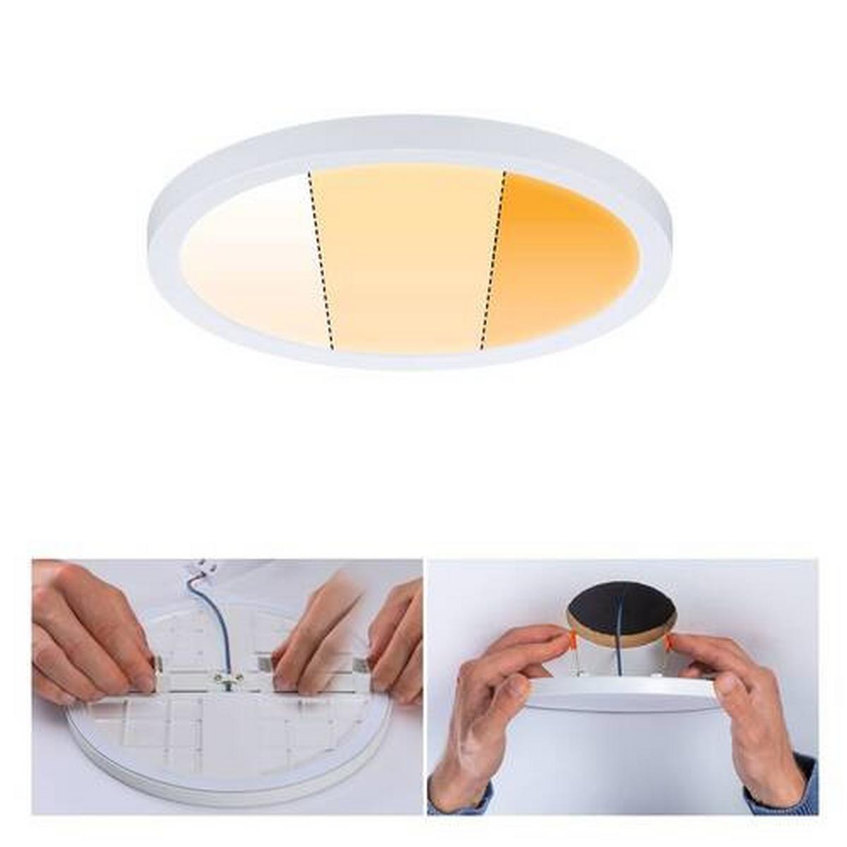 LED-Deckenleuchte Ø 17,5 cm dimmbar Rund - Weiß, Basics, Kunststoff (17,5cm) - Paulmann