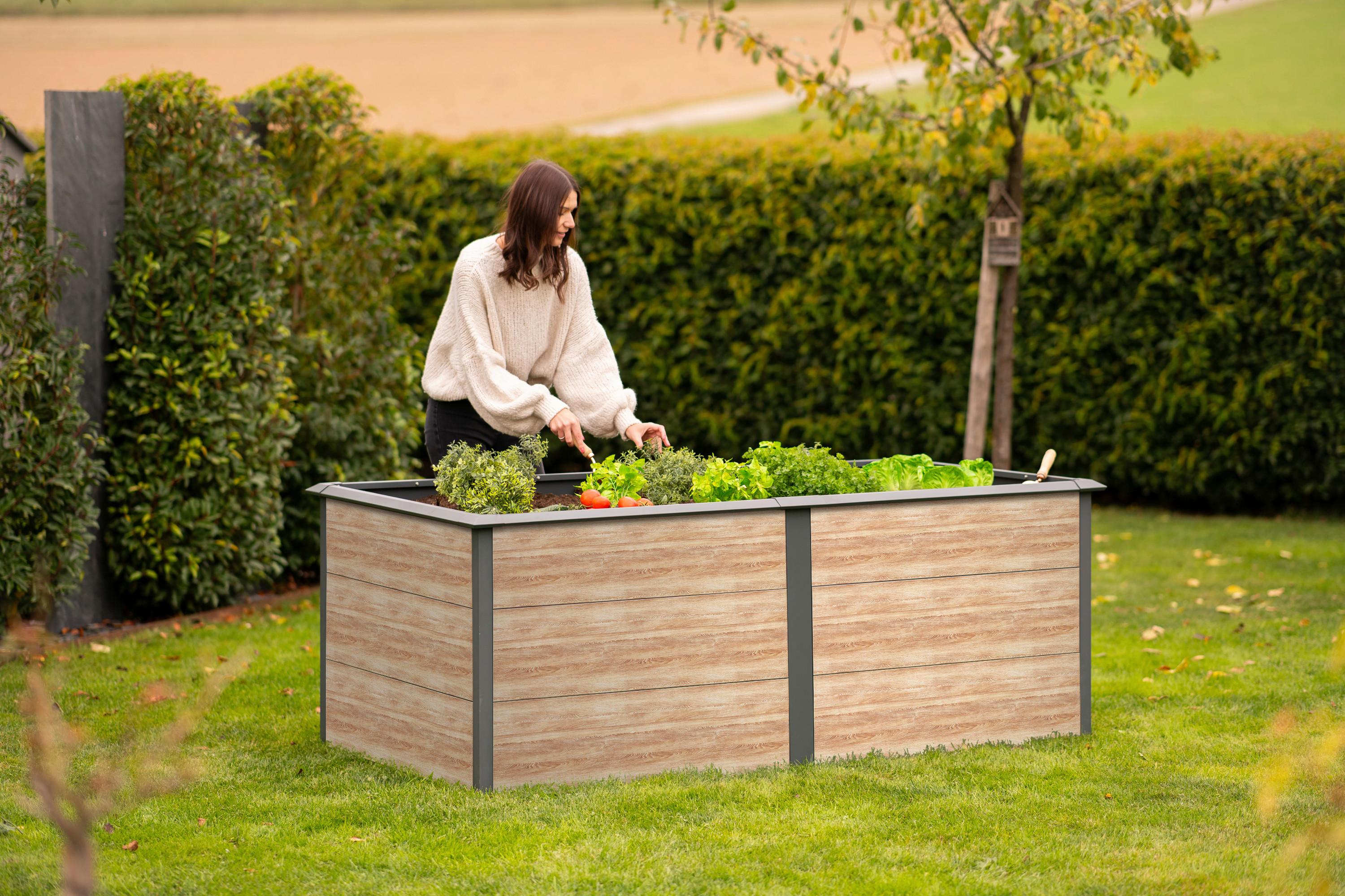Hochbeet Primus-Multi XL - Lärchefarben, KONVENTIONELL, Metall (100/200/77cm)