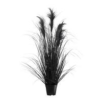 UMELÁ RASTLINA PAMPOVÁ TRÁVA II - čierna, Modern, plast (92cm) - Modern Living