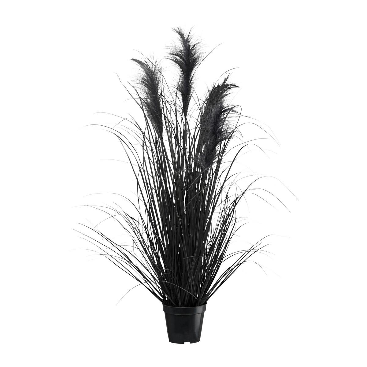 UMELÁ RASTLINA PAMPOVÁ TRÁVA II - čierna, Modern, plast (92cm) - Modern Living