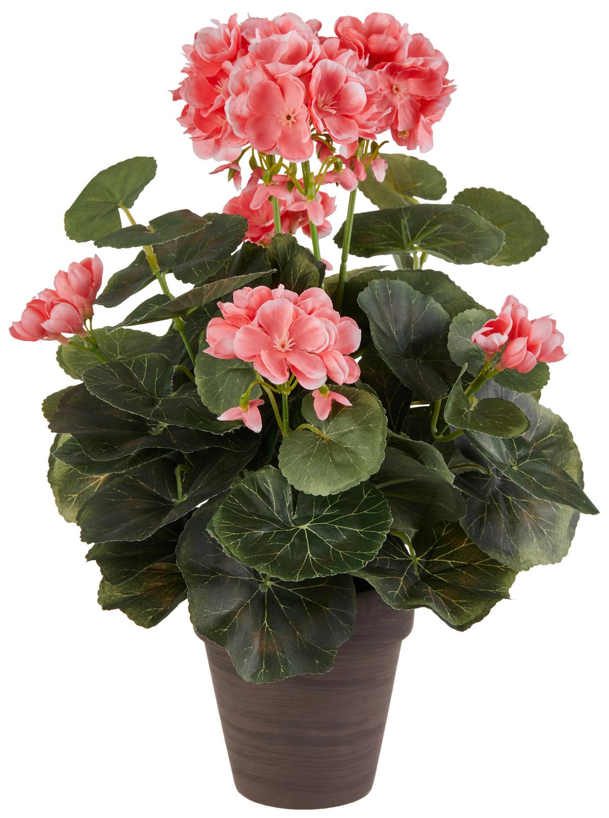 Művirág Gisi - barna/rózsaszín, Modern, műanyag/kerámia (16/36cm) - Luca Bessoni