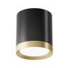 Aufbauleuchte Hoop - Goldfarben/Schwarz, Trend, Kunststoff/Metall (8,5/9,6cm) - MAYTONI