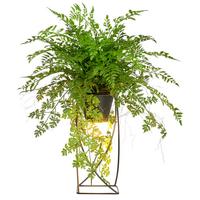 Kunstpflanze Farnmix, H: 60 cm Kunststoff, Grün/Schwarz, - Schwarz/Grün, Basics, Kunststoff/Metall (60cm) - P & B