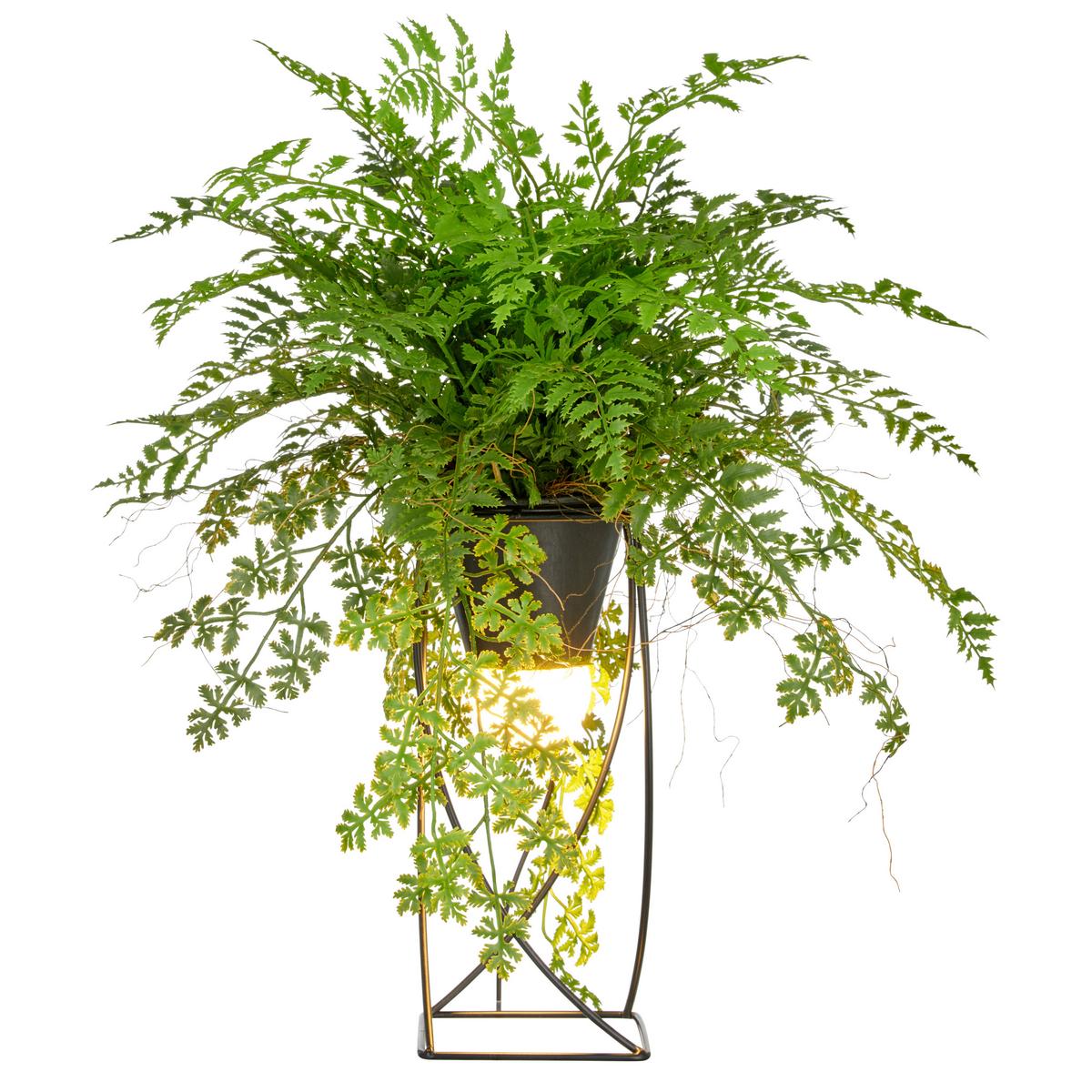 Kunstpflanze Farnmix, H: 60 cm Kunststoff, Grün/Schwarz, - Schwarz/Grün, Basics, Kunststoff/Metall (60cm) - P & B