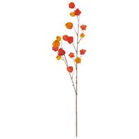 Umelá rastlina PHYSALISZWEIG I - oranžová/hnedá, Basics, plast (105cm) - Mömax