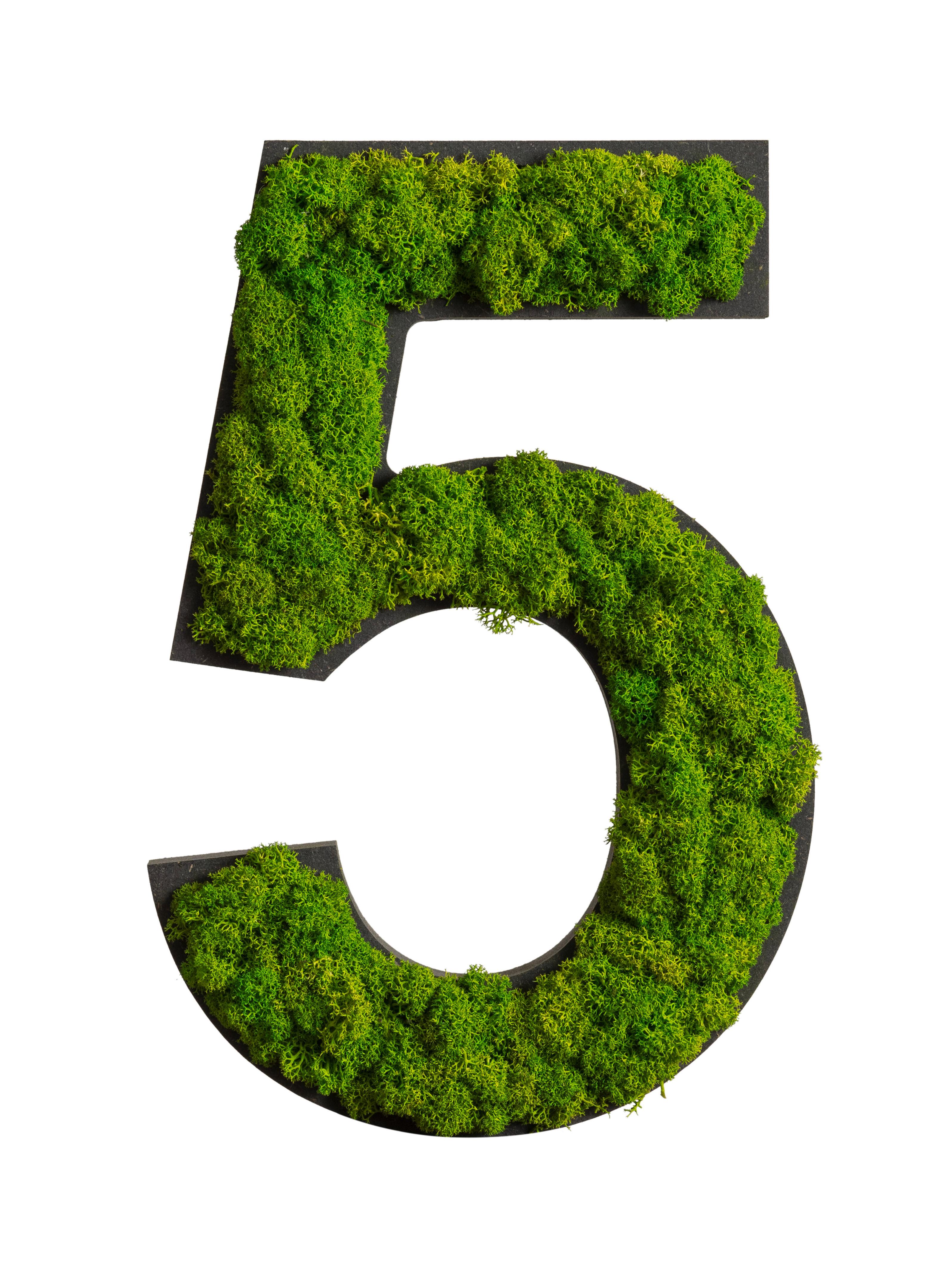 Moosbild Grün B : 25 cm - Schwarz/Grün, Basics, Naturmaterialien/Holz (25/17/2,5cm)