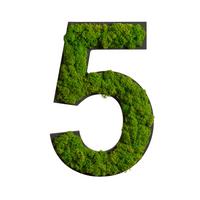 Moosbild Grün B : 25 cm - Schwarz/Grün, Basics, Naturmaterialien/Holz (25/17/2,5cm)