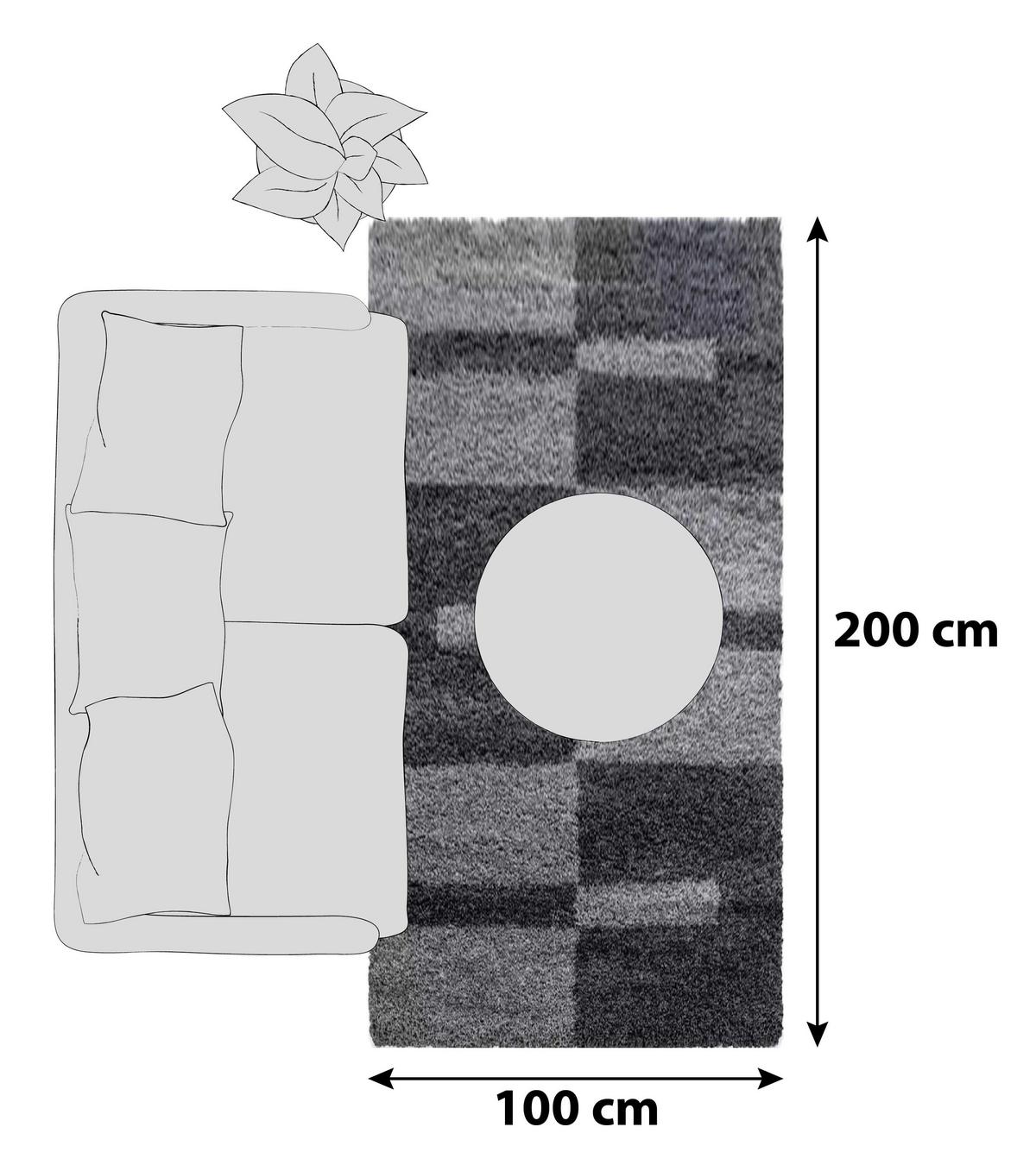 Hochflor Teppich Grau Gala 100x200 cm - Grau, Design, Textil (100/200cm)