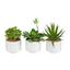 Rostlina Umělá Helena - zelená, umělá hmota (18cm) - Mömax modern living Rostlina Umělá Helena - zelená, umělá hmota (18cm) - Mömax modern living