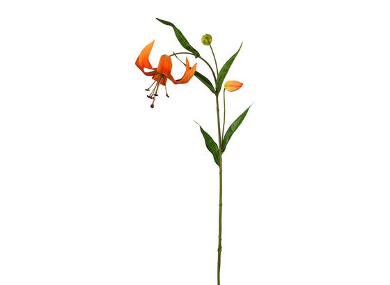 Umelá Kvetina Lilie - oranžová/zelená, Basics, plast (72cm) Umelá Kvetina Lilie - oranžová/zelená, Basics, plast (72cm)