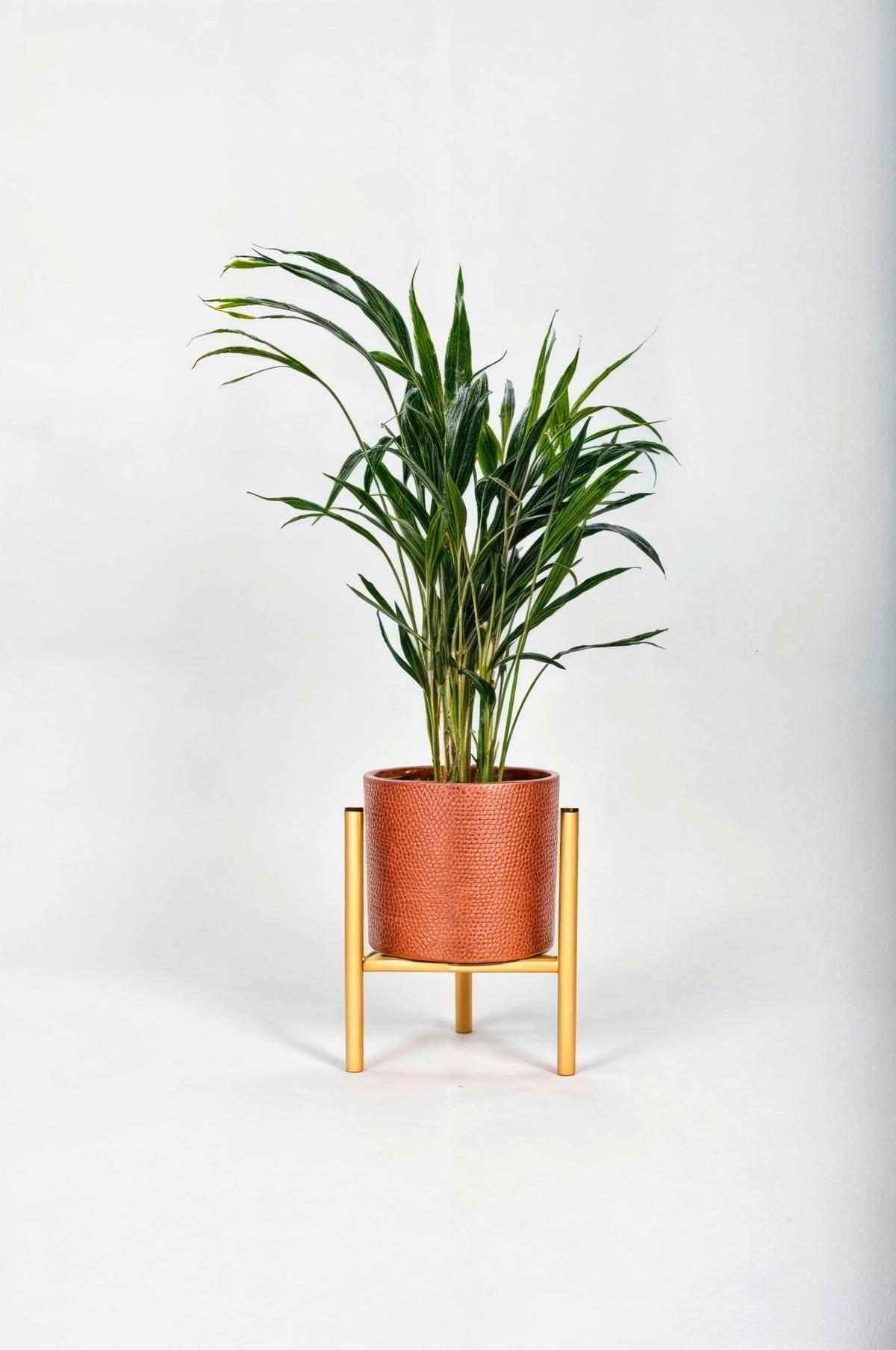 Blumenständer Aluminium Gold- Farben BxHxT: 23x25x23 cm - Goldfarben, Basics, Metall (23/25/23cm)