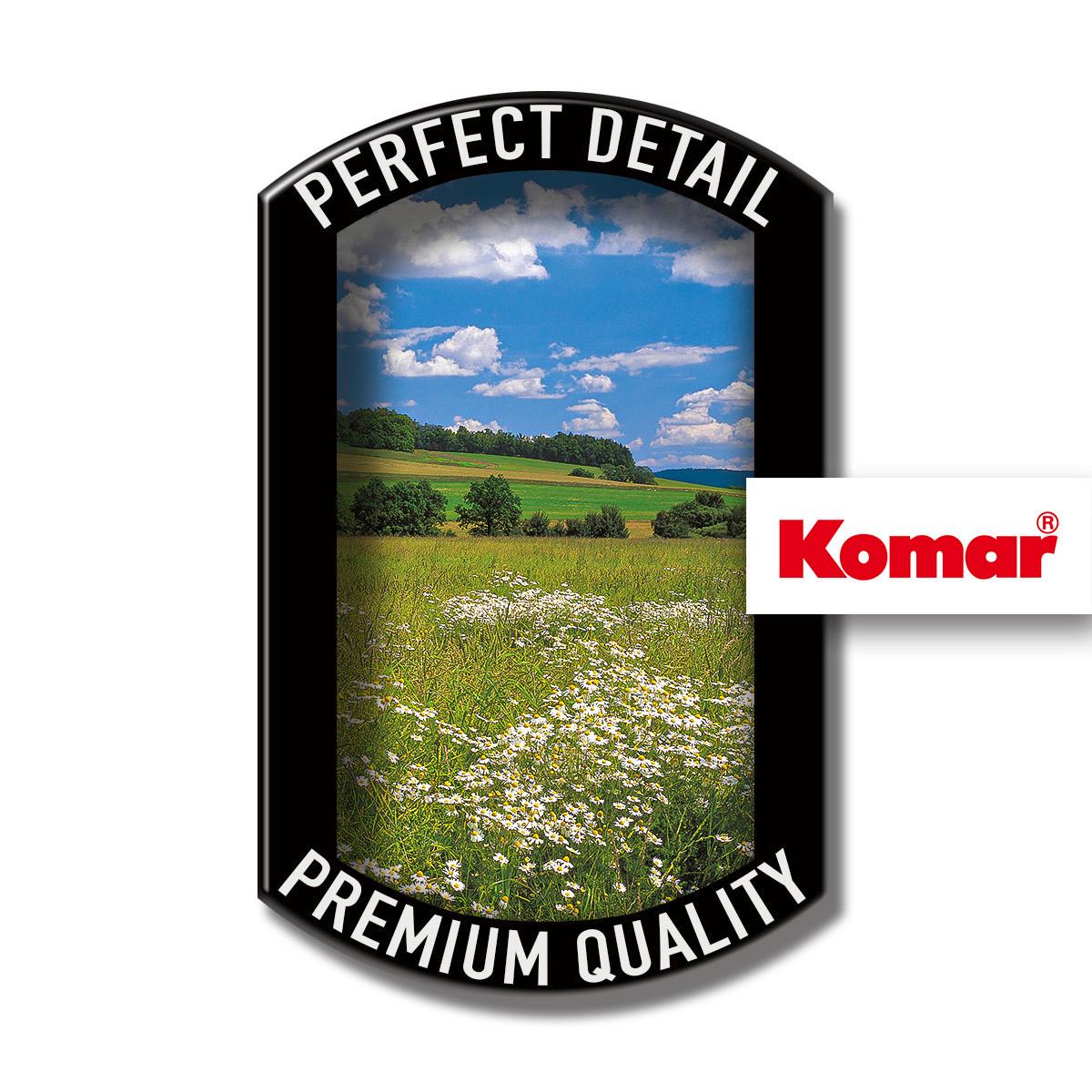 Vliestapete Meadow - Multicolor, Basics (100/280cm) - Komar