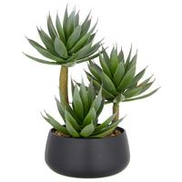 Agave Grün Braun Schwarz B: 17 cm - Hellbraun/Schwarz, Basics, Kunststoff (28cm) - P & B