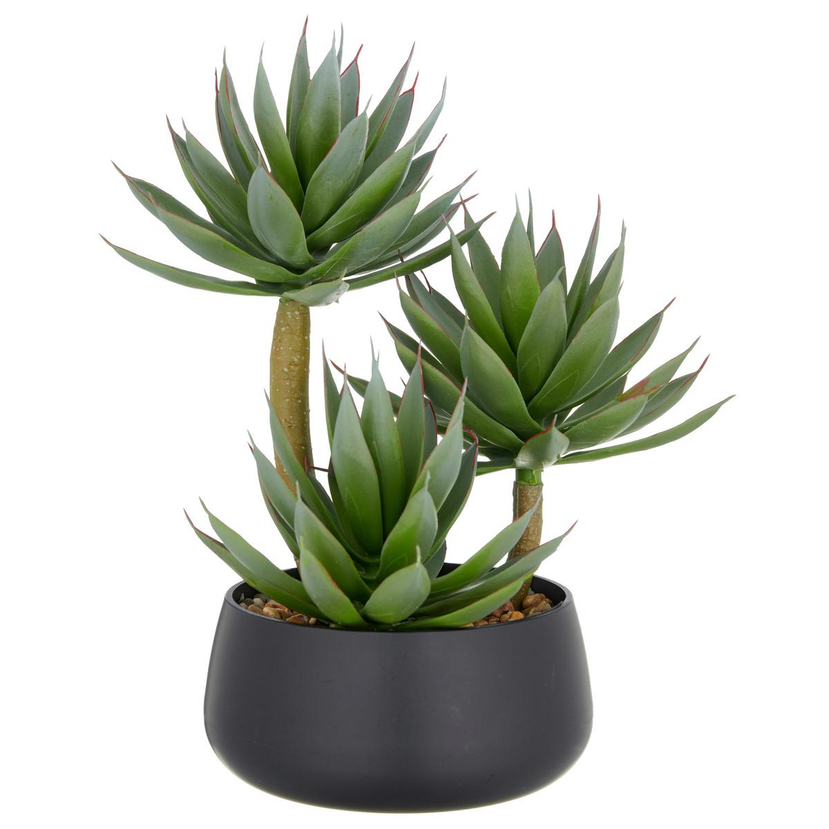 Agave Grün Braun Schwarz B: 17 cm - Hellbraun/Schwarz, Basics, Kunststoff (28cm) - P & B