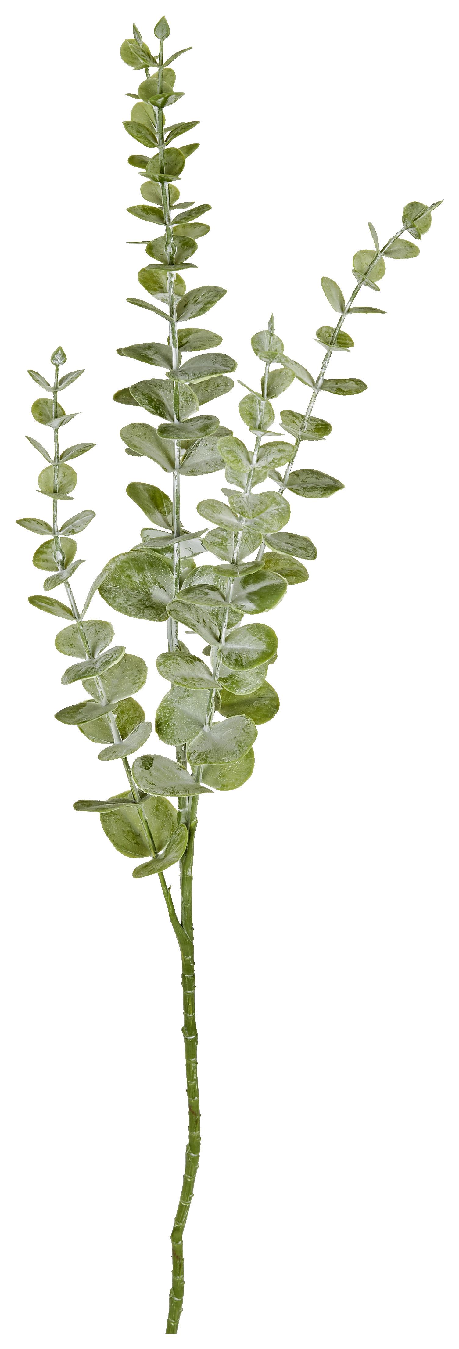 Kunstpflanze Eukalyptuszweig Grün L: 73 cm, Robert - Grau/Grün, Natur, Kunststoff (73cm)