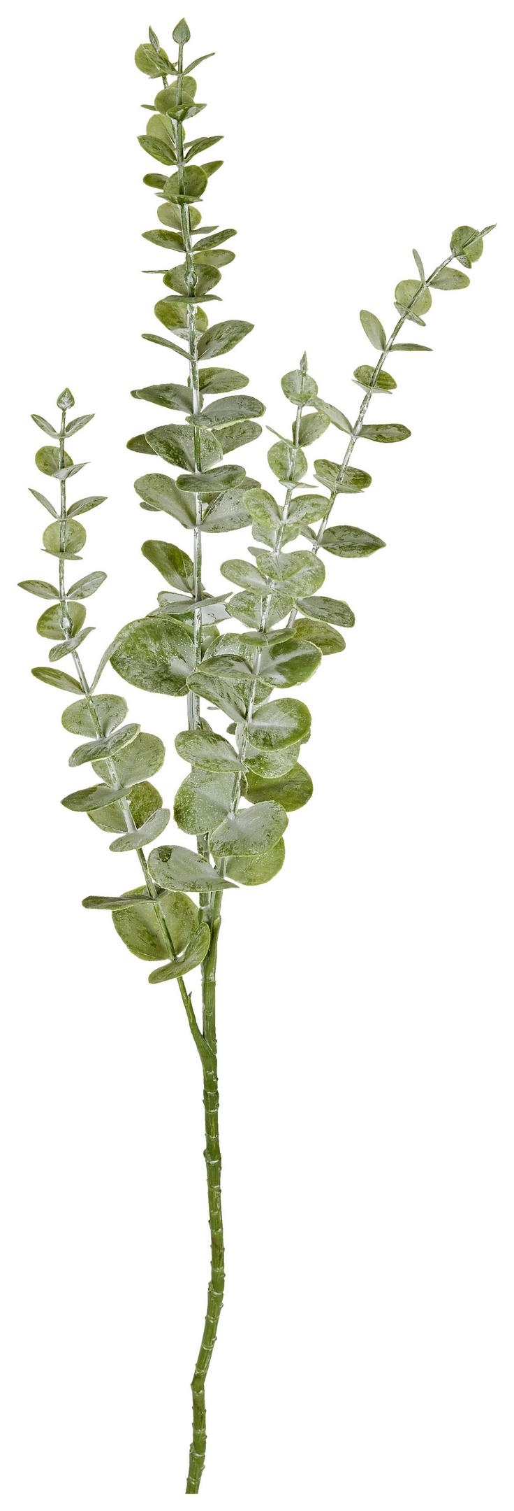 Kunstpflanze Eukalyptuszweig Grün L: 73 cm, Robert