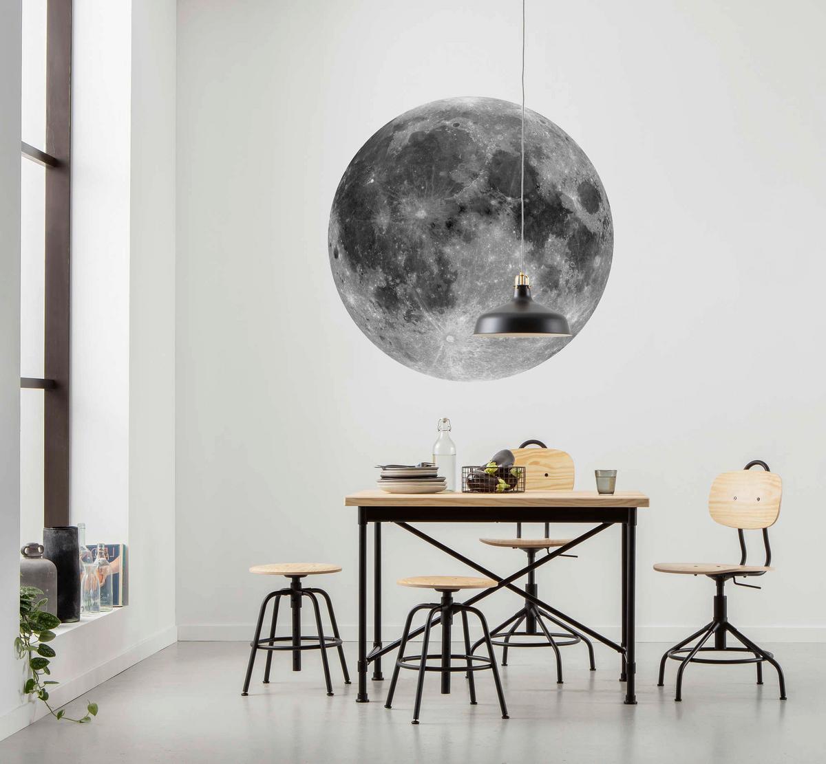 Fototapete Moon - Schwarz/Weiß, Trend, Papier (125cm) - Komar