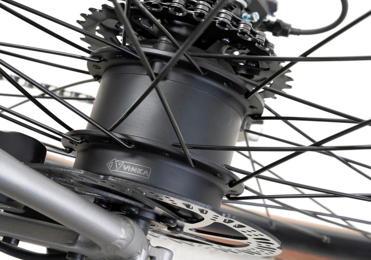 Elektrofahrrad Adore Silber - Silberfarben, Basics, Metall (180/70/100cm)