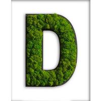 Moosbild Grün T: 25 Cm - Schwarz/Grün, Basics, Naturmaterialien/Holz (25cm)