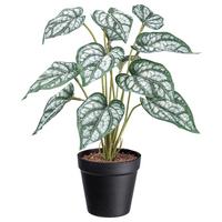 Umělá rostlina V: 38cm - černá/zelená, Basics, plast (38cm) - Modern Living