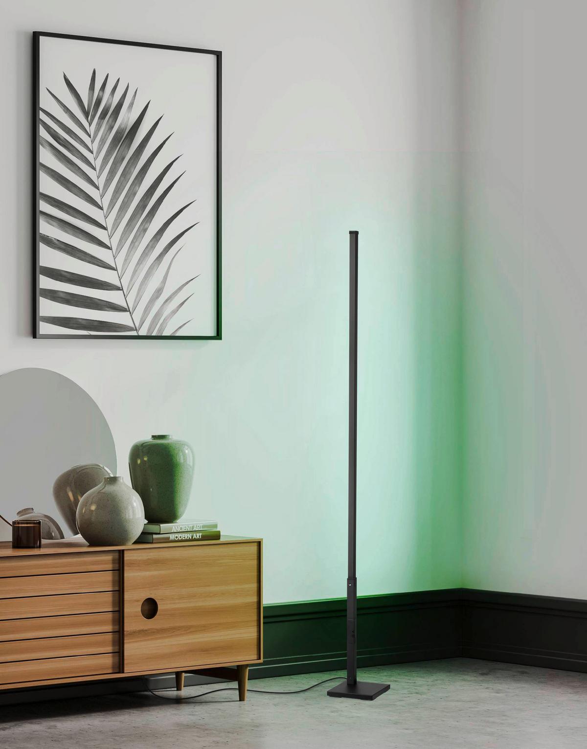 Stehlampe Picacha 1 Schwarz/Weiss - Schwarz/Weiß, Basics, Kunststoff/Metall (2/2/150cm) - Eglo