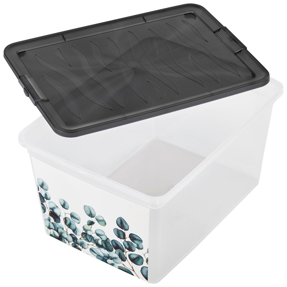 Aufbewahrungsbox Eukalyptus Mit Deckel 38,4x19,9x28,3 Cm - Klar/Anthrazit, KONVENTIONELL, Kunststoff (38,4/19,9/28,3cm)