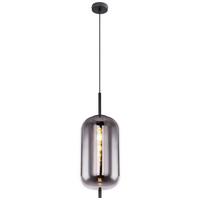 Hängeleuchte Blacky Ø 22 Cm 1-Flammig - Schwarz, Design, Glas/Metall (22/120cm) - Globo