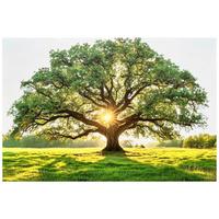Keilrahmenbild Lennard - Multicolor/Naturfarben, KONVENTIONELL, Holz/Textil (116/78/2,3cm) - James Wood