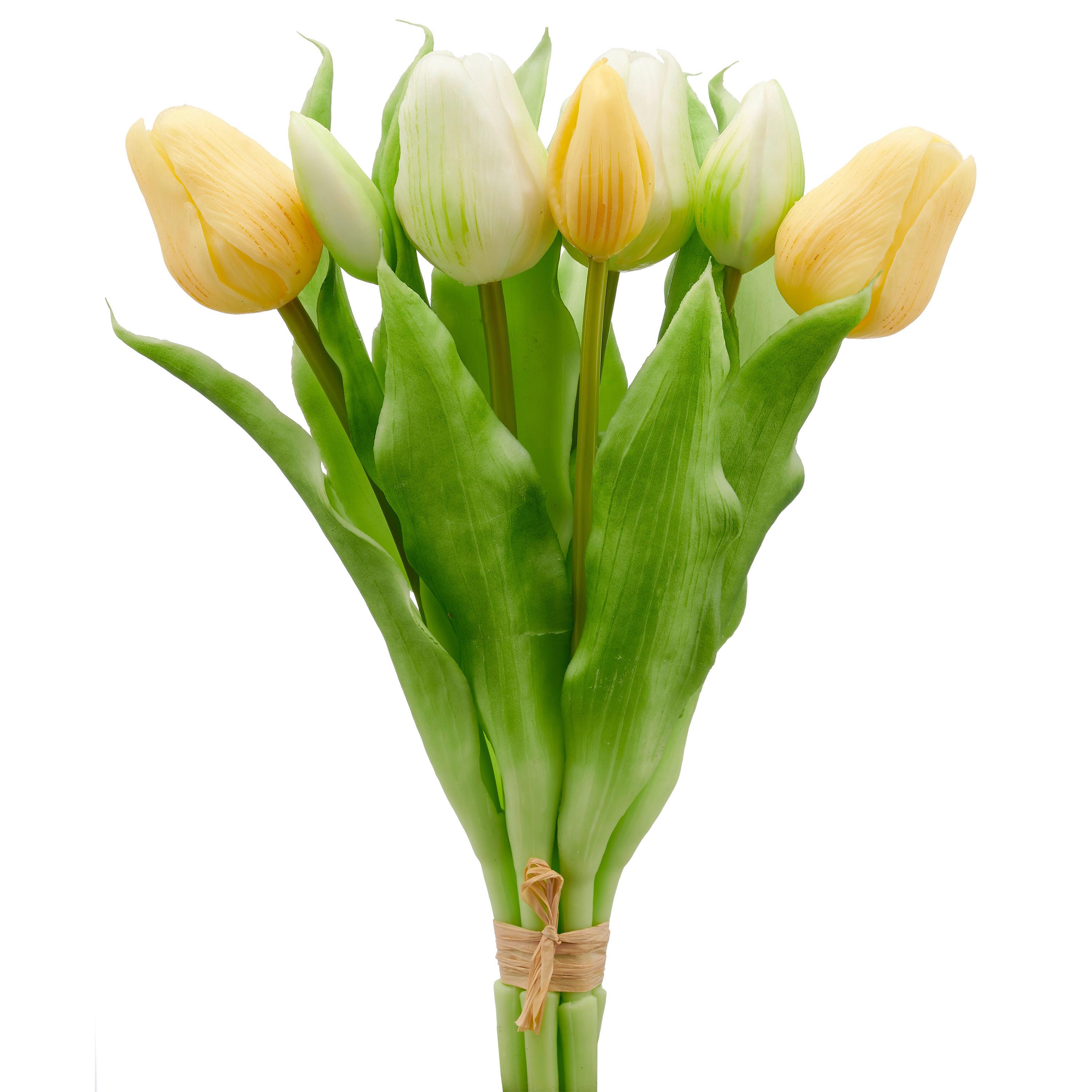 Tulipán TULPENBUND I - bílá/zelená, Basics, kov/plast (31cm) - Mömax