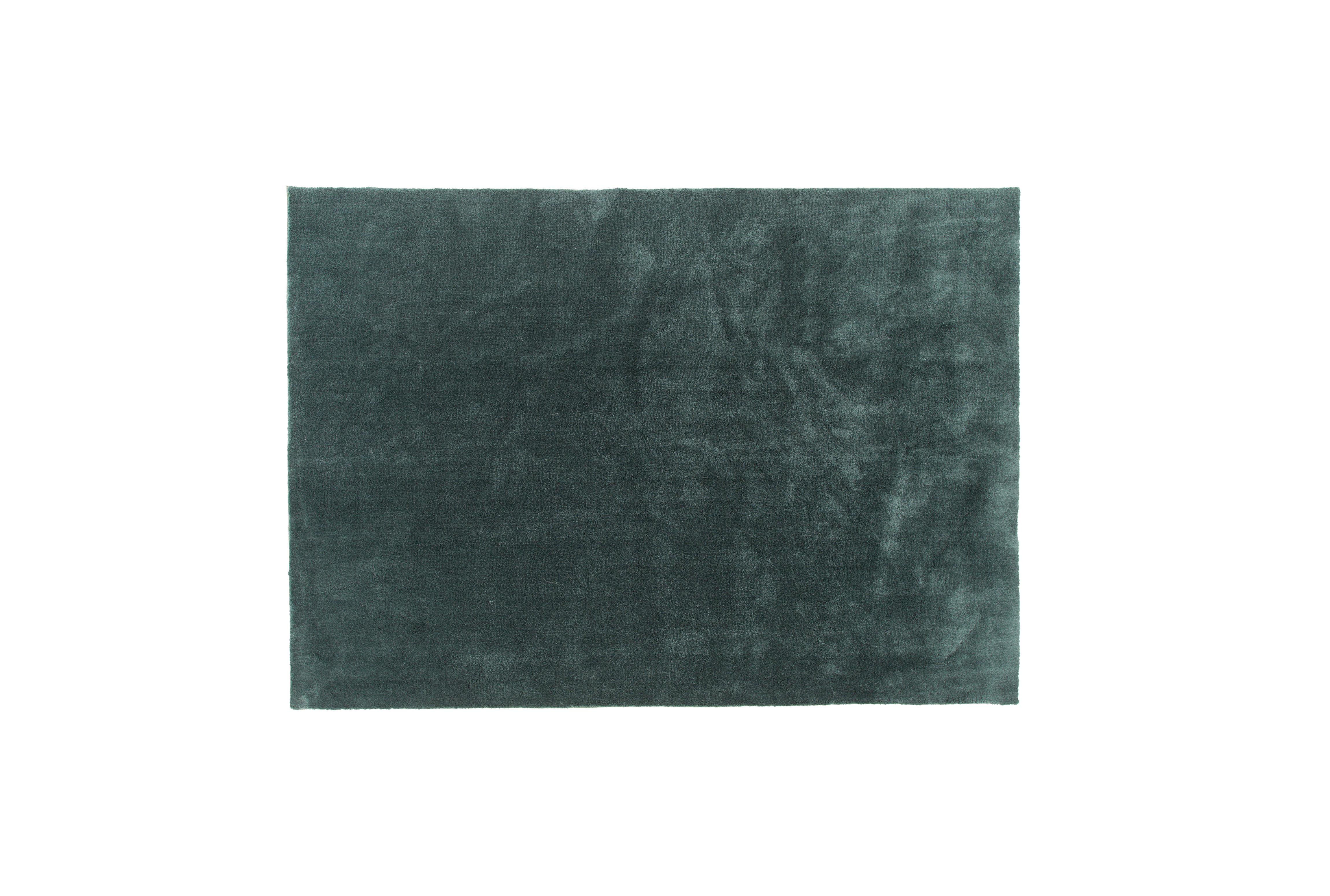 Hochflorteppich Undra - Dunkelgrün, LIFESTYLE, Textil (250/350cm) - P & B