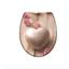 WC-Sitz 82370 Romantic - Multicolor, KONVENTIONELL, Kunststoff (37,4/45,3cm) WC-Sitz 82370 Romantic - Multicolor, KONVENTIONELL, Kunststoff (37,4/45,3cm)