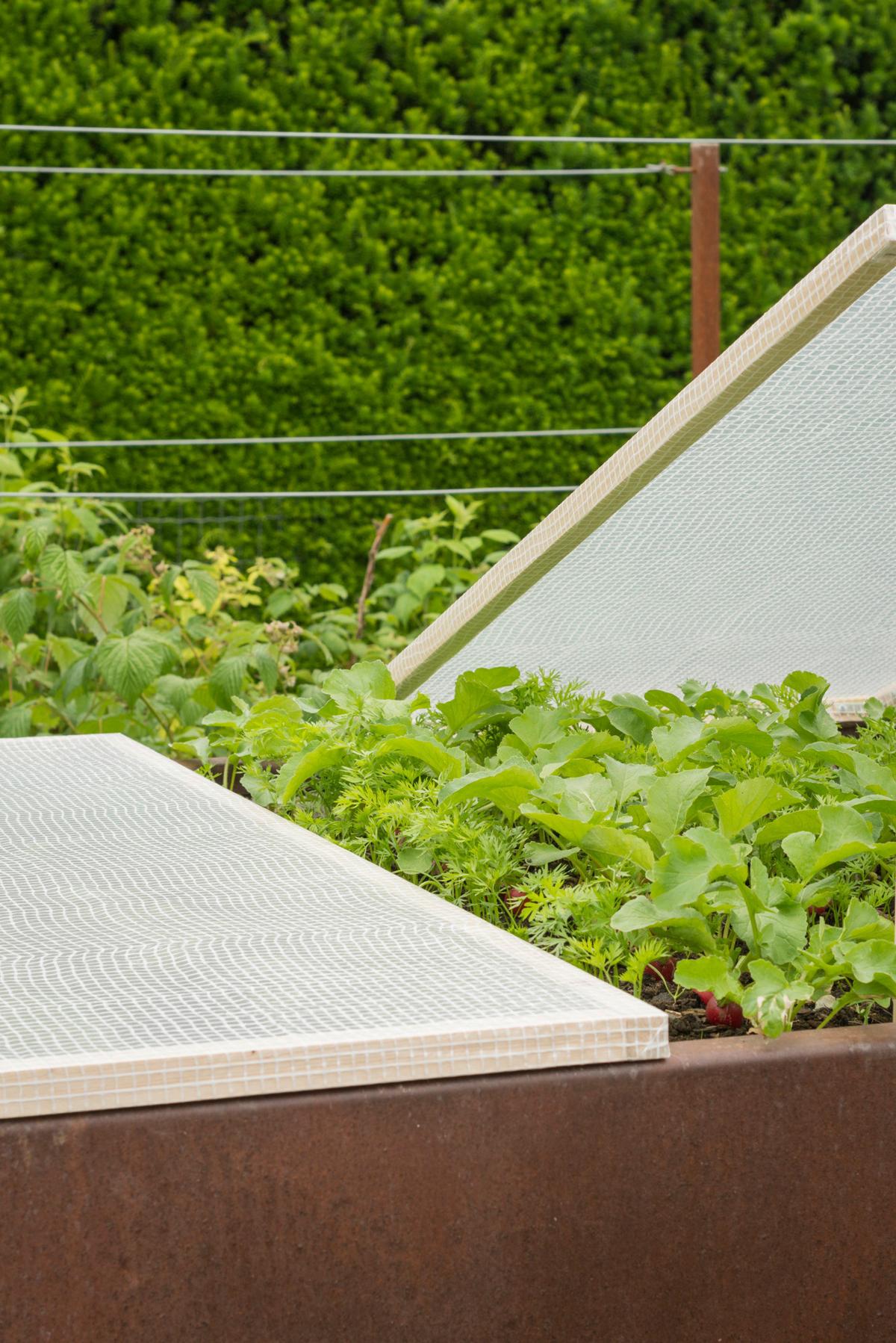 Gitter-folie Bxt: 200x300 Cm - Weiß, Basics, Kunststoff (200/300cm) - Windhager