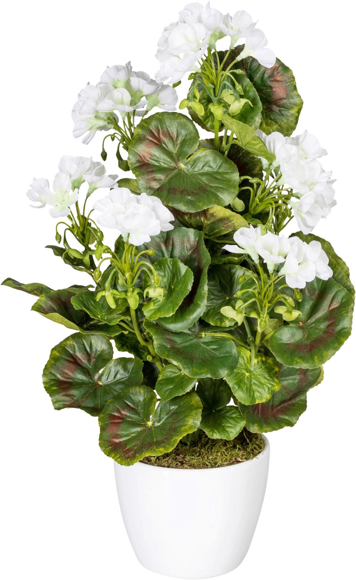 Kunstpflanze Geranie inkl. Topf H: 13 cm - Weiß/Grün, Design, Keramik/Kunststoff (40cm) - P & B