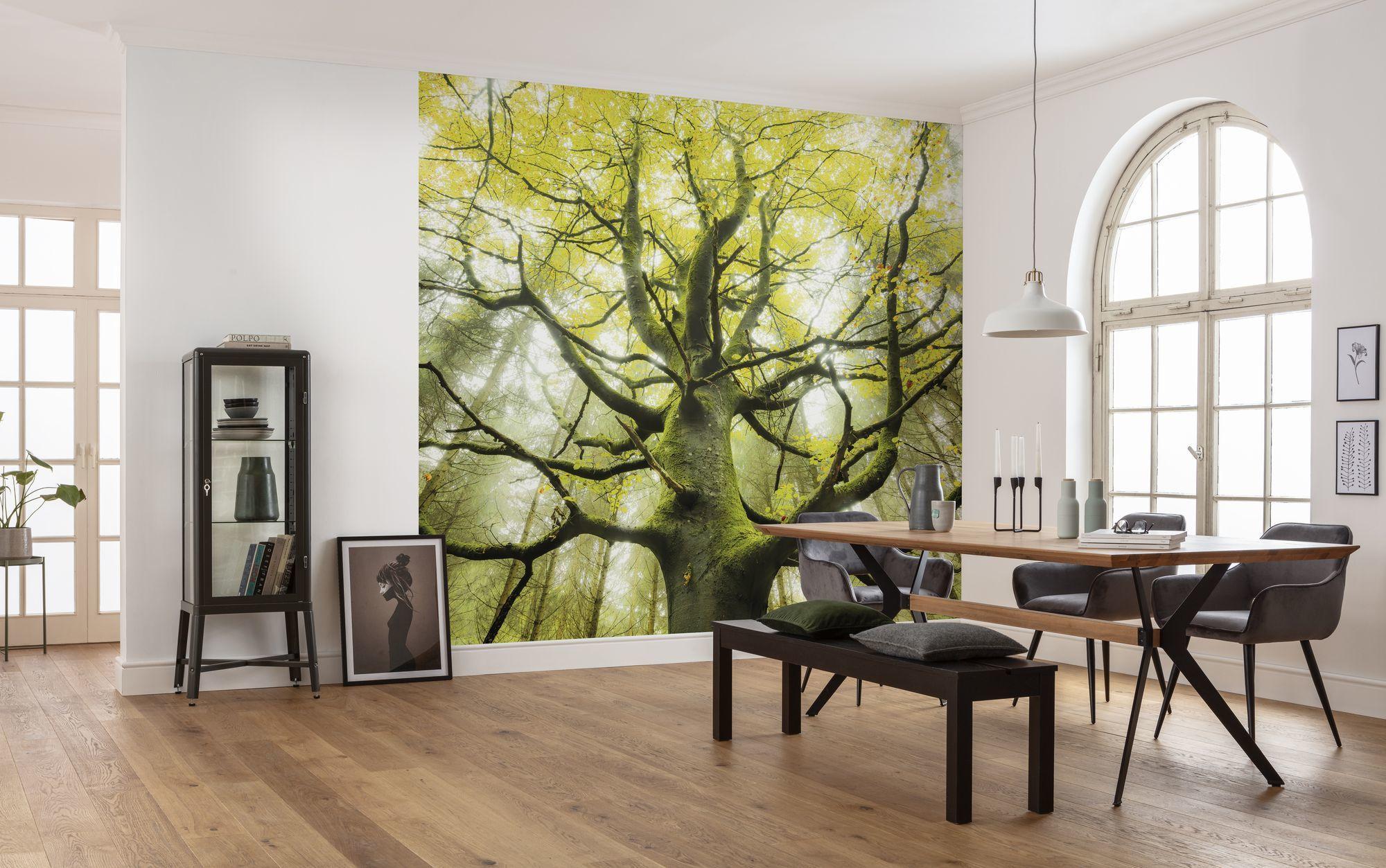 Fototapete Der Traumbaum - Grün, Trend, Textil (450/280cm)