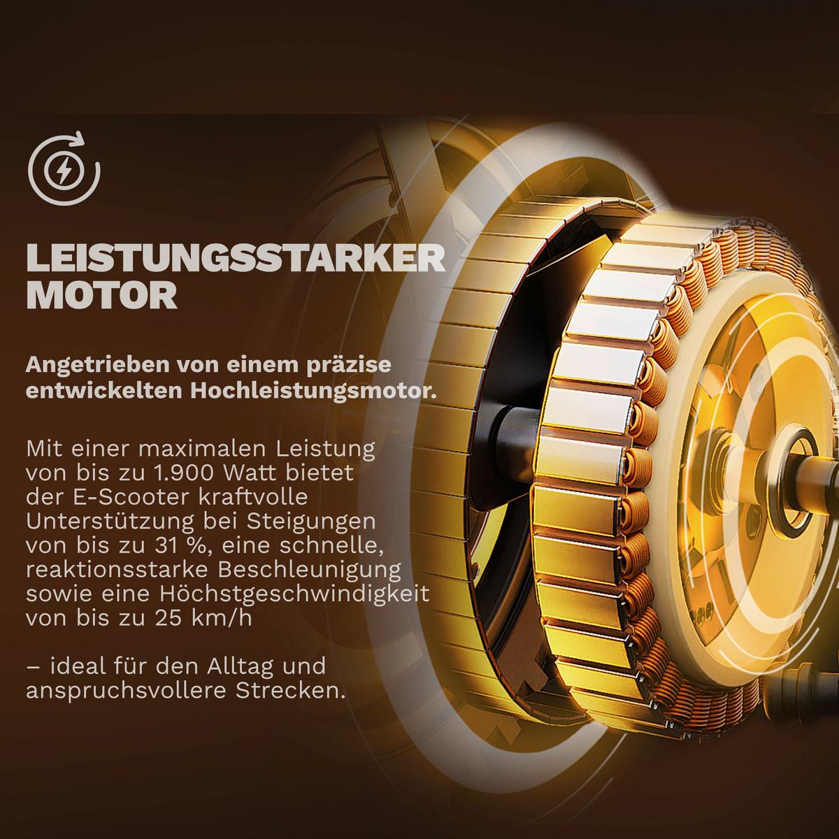 Elektroscooter CS-PURE-ADV-MCL -PA, StVO Konform - Orange, Basics, Metall (60/108/104cm)
