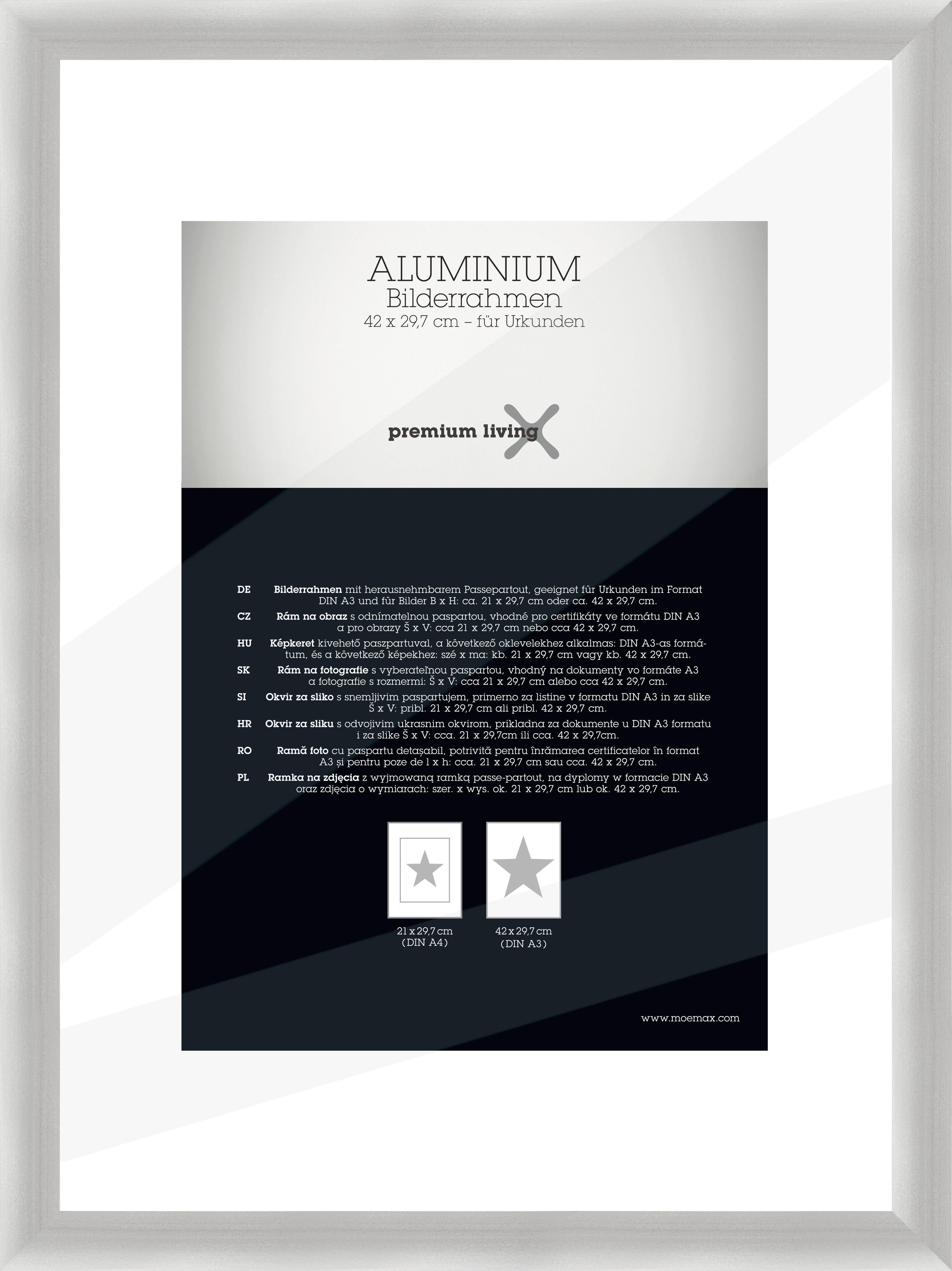 Rám na obrazy 32,8/45,1 cm - strieborná, Basics, kov (32,8/45,1/2.2cm) - Premium Living