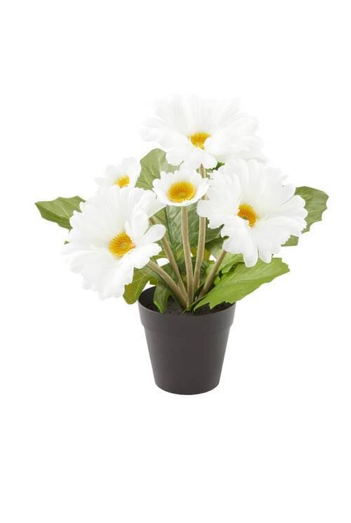 Művirág Gerbera - barna/fehér, Konventionell, műanyag/textil (30cm) - Ondega