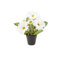 Művirág Gerbera - barna/fehér, Konventionell, műanyag/textil (30cm) - Ondega