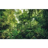 Vliestapete Sh041-Vd4 Into The Jungle - Natur (400/250cm)
