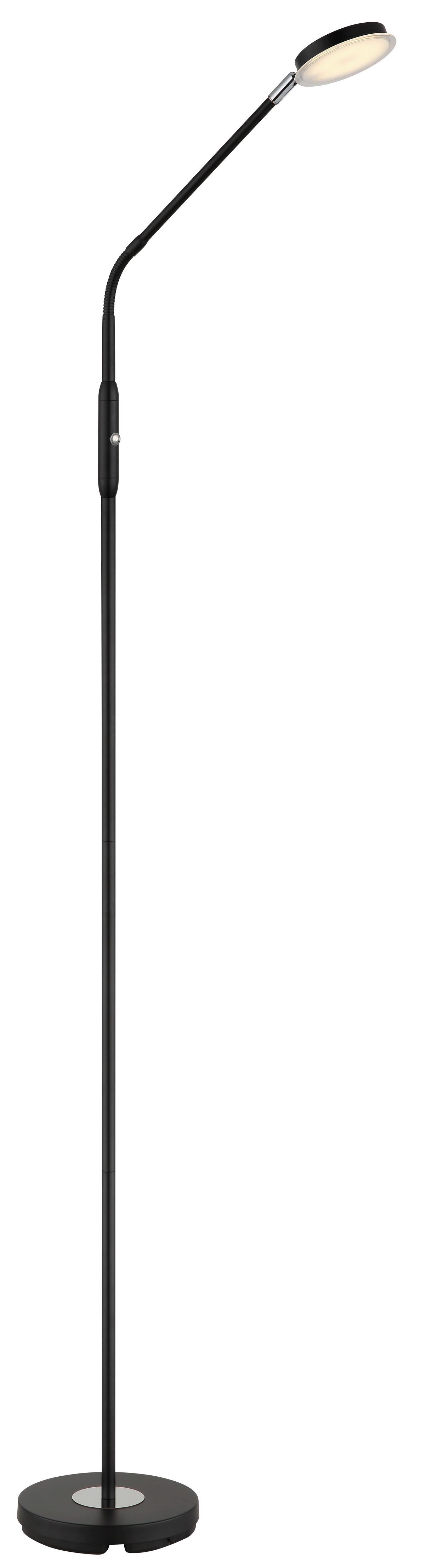 STOJACÍ LED LAMPA SILVIO - černá/čiré, Design, kov/plast (52/20/173cm)