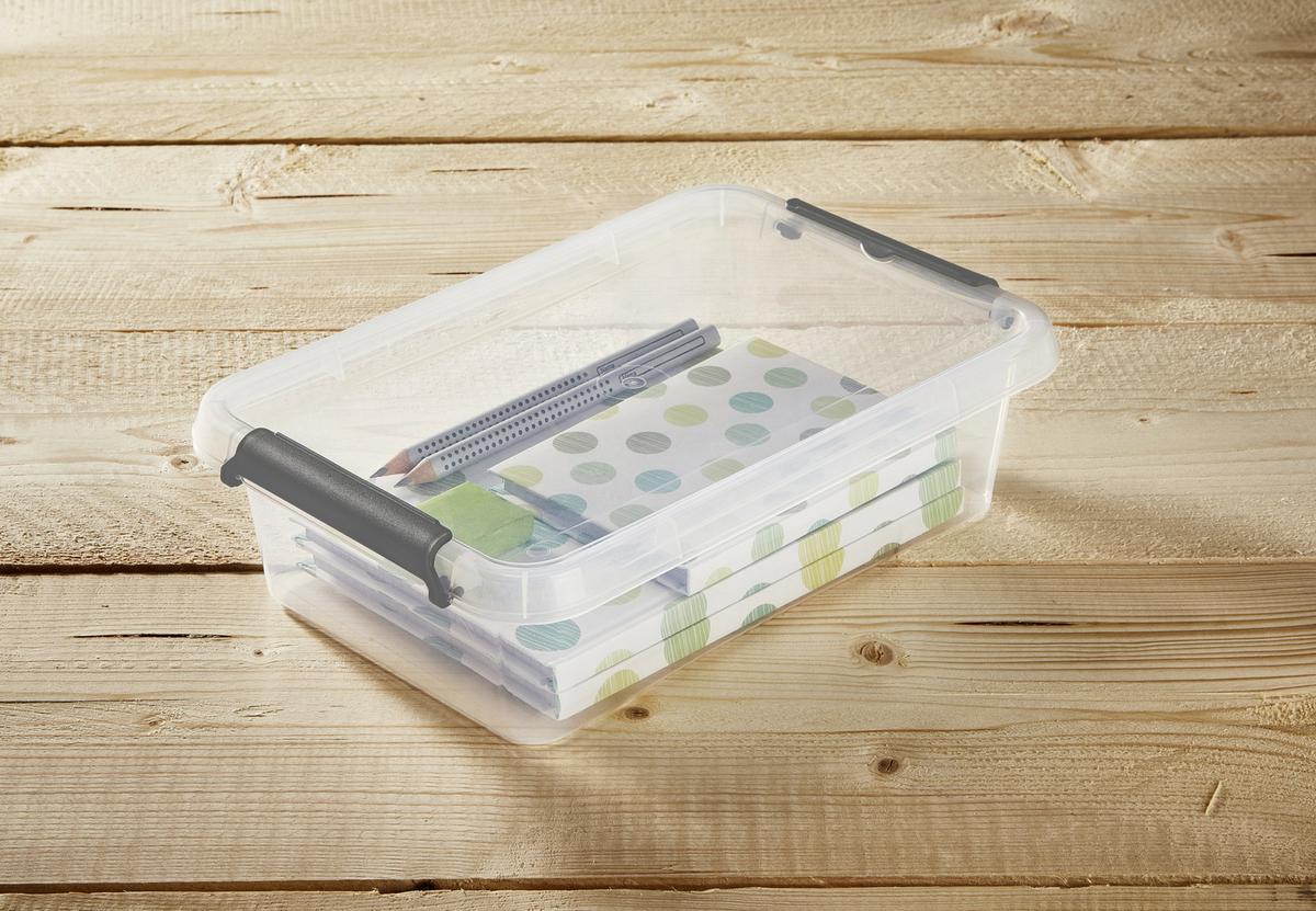 Aufbewahrungsbox Lara + Deckel Kunststoff 29x20x8 Cm - Transparent, Basics, Kunststoff (29/20/8cm) - Homezone