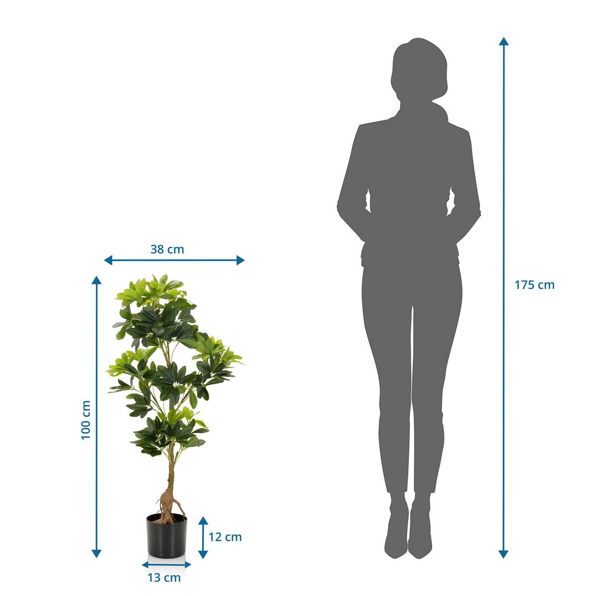 Kunstpflanze Schefflera - Schwarz/Braun, Basics, Kunststoff/Textil (38/100/30cm) - MID.YOU