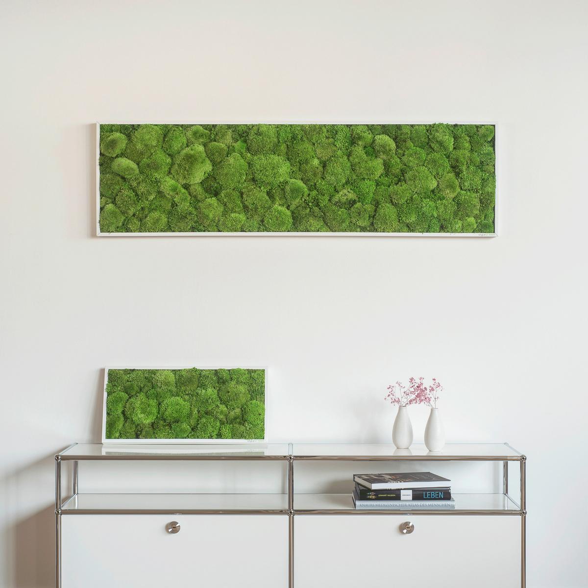 Moosbild Grün B: 57 cm - Weiß/Grün, Basics, Naturmaterialien/Holz (57/27/7cm)