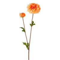 Kunstpflanze Dahlie Dali L 63 cm - Orange/Grün, KONVENTIONELL, Kunststoff (63cm)
