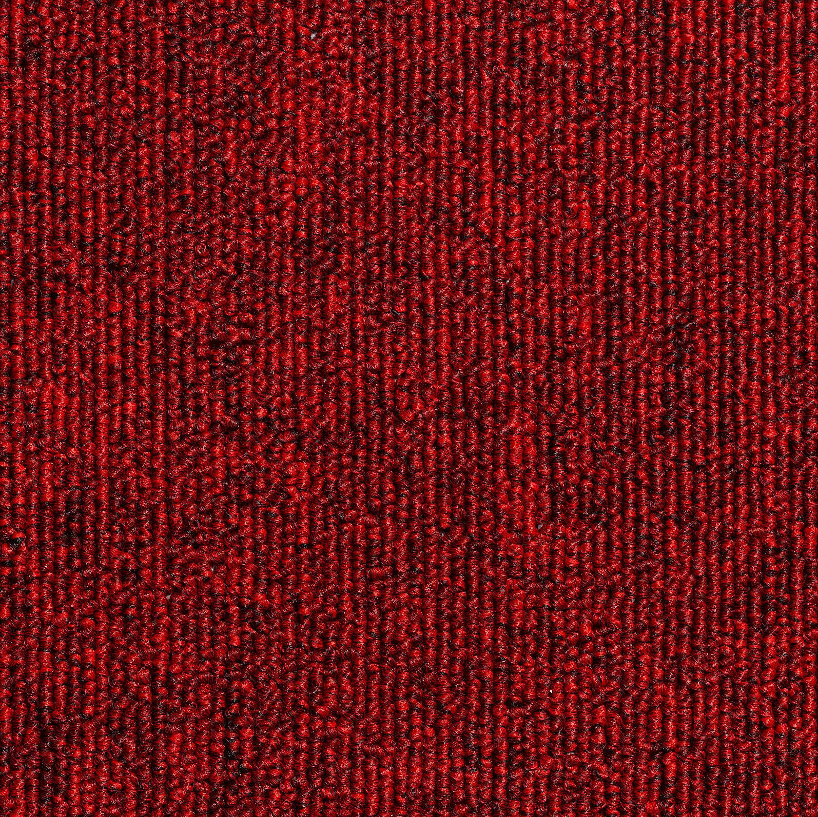 Teppichfliese Rot Astra 50x50 cm Florhöhe 3 mm - Rot, Basics, Textil (50/50cm)
