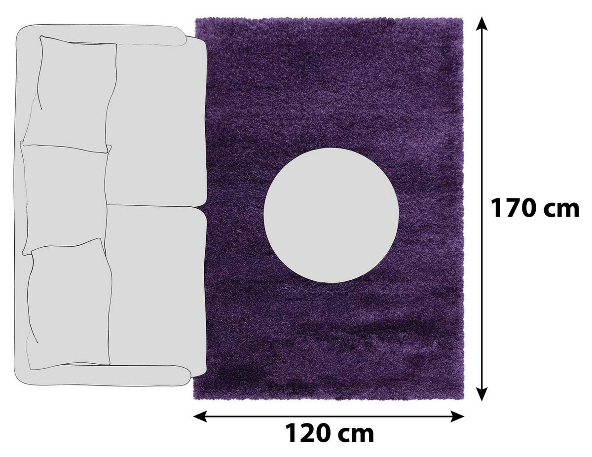 Hochflor Teppich Lila Fluffy 120x170 cm - Lila, Basics, Textil (120/170cm)