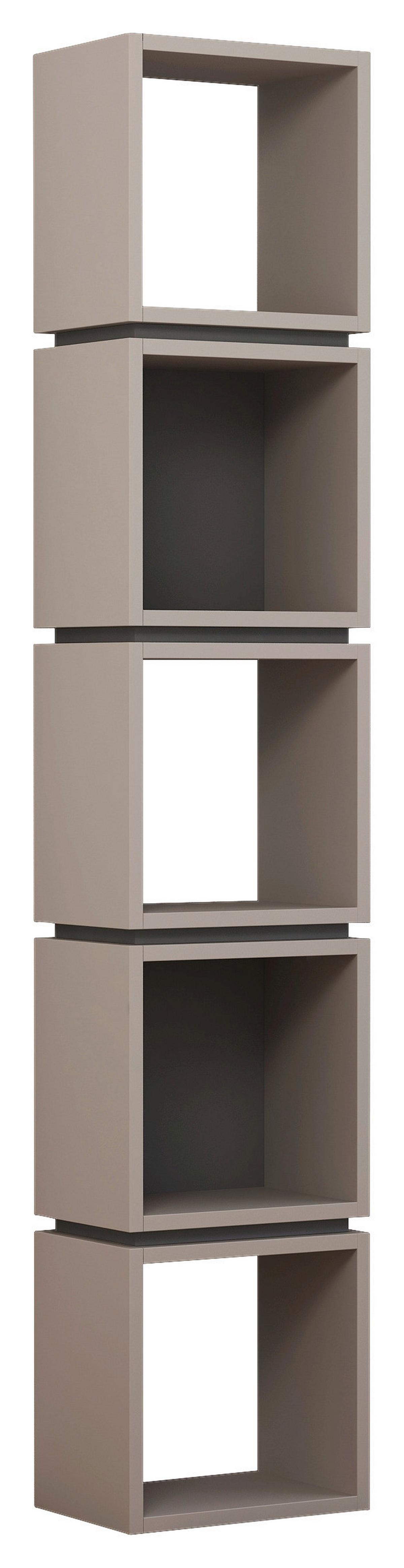 Bücherwand Multi - Beige, Design, Holzwerkstoff (32/167/22cm) - Livetastic